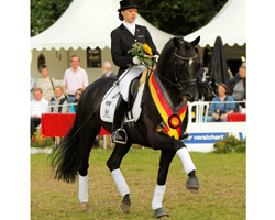 In der Dressur wurde der sechs Jahre alte Trakehner Rapphengst Düsterberg von Distelzar x Herzzauber neuer Trakehner-Champion des Jahres 2012. Foto: Lafrentz