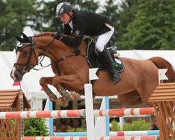 Im Großen Preis ritt Thomas Kleis nur knapp am Sieg vorbei und wurde auf Questa Vittoria Dritter. Foto: Wego