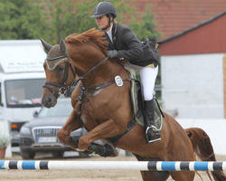 Mit dem achtjährigen Ganschower Stempelhengst Dramatiker (Bardolino x Altan II) holte sich Ramona Schilloks beim Trakehner-Bundesturnier in Hannover vier Platzierungen. Foto: Wego