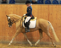 Cinderella - (DR) v. FS Champion de Luxe - Domingo (Z.: Madlen Blunk, Rastow/B.: Zuchtgemeinschaft Blunk und Kopilow, Rastow), Siegrin bei den Ponys mit 7,93.