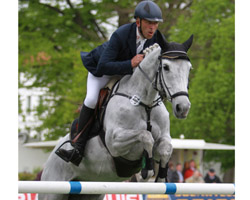 Den 3. Platz nimmt trotz längerer krankheitsbedingter Pause die elfjährige Cassiopeia ein (Cellestial / Godavari xx). Arno Göwe aus Broock ist der Züchter, geritten wird sie von Heiko Schmidt. Foto: Wego