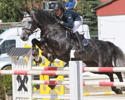Der 23-jährige Christoph Lanske, der in Schwaan trainiert und für seinen Heimatverein Dersekow reitet, gewann auf dem achtjährigen Hengst Callboy den Großen Preis beim Sommer-Meeting in Neu Benthen. Foto: Jutta Wego