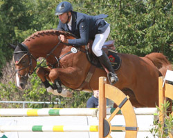 Die letzte Oxerstange wurde Heiko Schmidt zum Verhängnis, sonst hätte er den Großen Preis auf Chap gewonnen. Foto: Wego