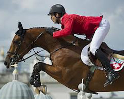 Der 30-jährige Schweizer Steve Guerdat blieb im Sattel des französischen Wallachs Nino de Buissonnets als einziger in beiden Runden fehlerfrei und holte sich die Goldmedaille.