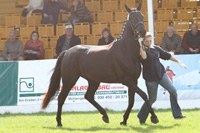 StPrSt. SILENT-BAY v. Swarovski / Lagiheidor G (Christoph Seite, Goldenbow).