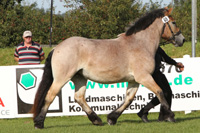 StPrSt. UTA (RhD-K) v. Ulan / Ulano (Neubauer & Sohn GbR, Trent).