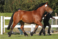 StPrSt. VITA (RhD-K) v. Verdun / Fabian (Manfred Scheel, Spoldershagen).