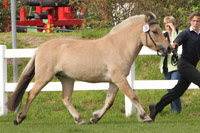 StPrSt. SARA (Fjord) v. Sogne Hiljar / Yerxes (Eberhard Mahncke, Gotthun).