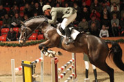 Baloubri, Mecklenburger v. Balou du Rouet x Kolibri mit Daniel Wascher.