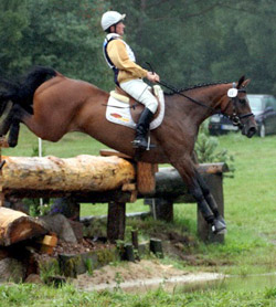 Auf den 4. Platz im CIC** von Sahrendorf kam Andreas Brandt mit Escada JS.