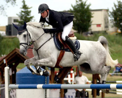 Ronny Sauer gewann auf Conneticut B das Hauptspringen in Spoitgendorf. Foto: Lohrmann