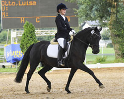 Für 91.000 Euro wechselte Djaufaila, eine achtjährige Rappstute von Danny Gold / Silverado und einstige Westfalenchampionesse, als teuerstes Pony in Alsfeld den Besitzer. Foto: Archiv Beschicker