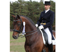 Der ehemalige Redefiner Hengst Don Akzentus (Donnerhall x Akzent II) wird jetzt von Stefan Sandbrink im großen Dressursport geritten.