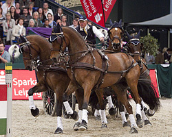 Mit dem Sieg des Titelverteidigers Boyd Exell aus Australien endete die Einlaufprüfung des Weltcups im Fahren. Foto: Rinaldo de Craen