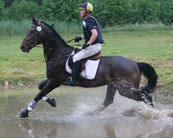 Georg Koch hat sich mit Lux  dem MV-Vielseitigkeitscup 2011 der Senioren gesichert. Foto: Wego