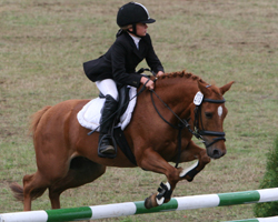 Mit einem Sieg im E-Springen auf Pony Milton sprang Hanna Hünemörder zum Kreismeistertitel. Foto: Wego 