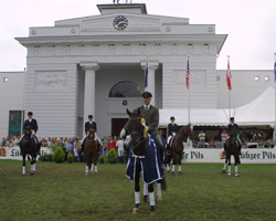 Alles ist gerichtet: Redefin wartet auf die Reiter aus 13 Nationen zum Pferdefestival 2011. Foto: Wego