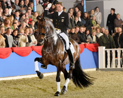 Blue Hors Romanov, hier noch unter Rudolf Zeilinger, wird zukünftig von  Edward  Gal für die Niederlande an den Start gehen.
