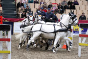 Dietmar Timm gab eine imposante Abschiedsvorstellung. Foto: Jutta Wego