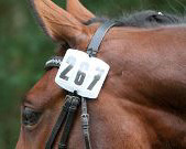 Foto: Stroscher