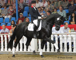Die Preisspitze der 75. Elite-Auktion Di Magic v. Dimaggio-Rohdiamant wurde für 240.000 Euro nach Monaco verkauft. Foto: Tammo Ernst