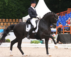Matthias Rath und Totilas auf dem Weg zum Deutschen Meistertitel.