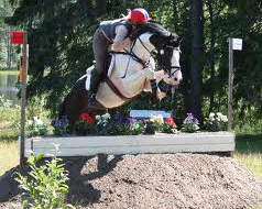 Das beste Ergebnis beim Bundeschampionat in Warendorf aus Mecklenburger Sicht lieferte der fünfjährige Sir Cisco (v. Sancisco; MV: Arpeggio), der im Finale Sechster bei den Vielseitigkeitspferden wurde.
