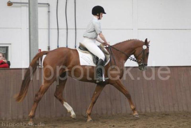 Foto 4486