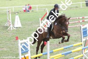 2011-06-25: Derbys dream  bei Reitturnier in Alt Bukow