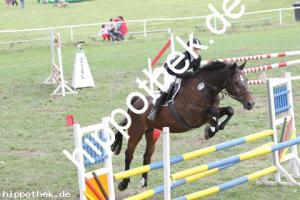 2011-06-25: Easter  bei Reitturnier in Alt Bukow