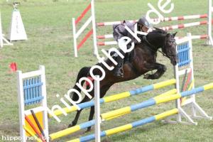 2011-06-25: Henry  bei Reitturnier in Alt Bukow
