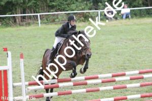 2011-06-25: Easter  bei Reitturnier in Alt Bukow
