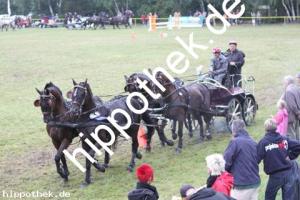 2012-07-29:  bei Reitturnier in Blowatz