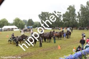 2012-07-29:  bei Reitturnier in Blowatz