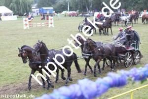 2012-07-29:  bei Reitturnier in Blowatz
