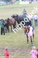 2012-07-29:  bei Reitturnier in Blowatz