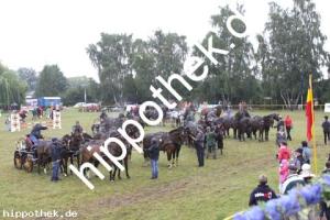 2012-07-29:  bei Reitturnier in Blowatz