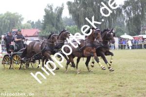 2012-07-29:  bei Reitturnier in Blowatz