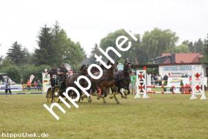 2012-07-29:  bei Reitturnier in Blowatz
