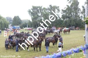 2012-07-29:  bei Reitturnier in Blowatz