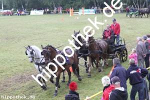 2012-07-29:  bei Reitturnier in Blowatz