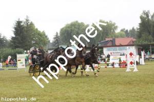 2012-07-29:  bei Reitturnier in Blowatz