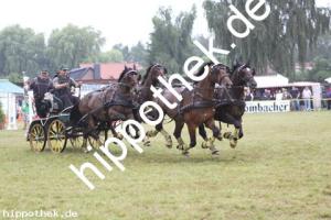2012-07-29:  bei Reitturnier in Blowatz
