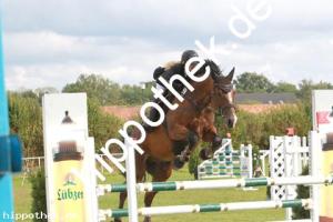 2012-08-26: Campione  bei Reitturnier in Parkentin