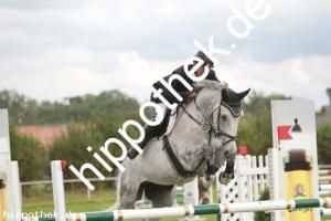 2012-08-26: Charly  bei Reitturnier in Parkentin