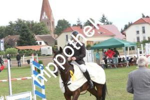 2012-08-26:  bei Reitturnier in Parkentin