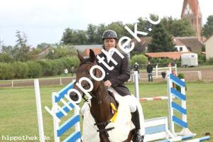 2012-08-26:  bei Reitturnier in Parkentin