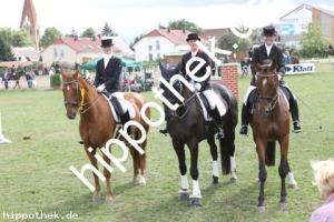 2012-08-26:  bei Reitturnier in Parkentin