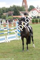 2012-08-26:  bei Reitturnier in Parkentin