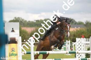 2012-08-26: Lancius  bei Reitturnier in Parkentin